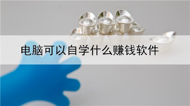 电脑可以自学什么赚钱软件