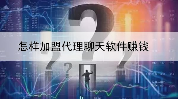 怎样加盟代理聊天软件赚钱